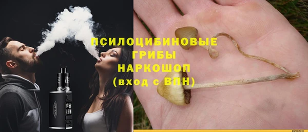 2c-b Абинск