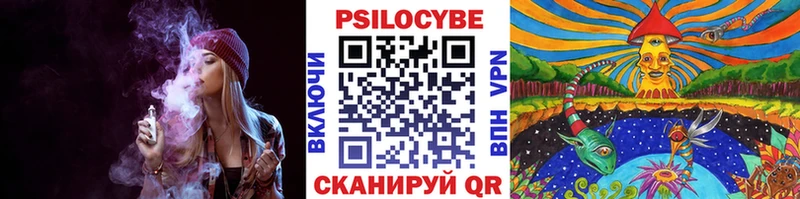 Галлюциногенные грибы прущие грибы  Гагарин 